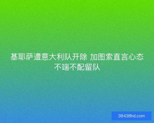 基耶萨遭意大利队开除 加图索直言心态不端不配留队